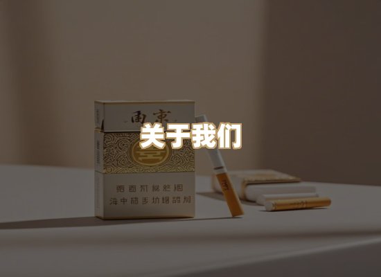 关于御龙烟网